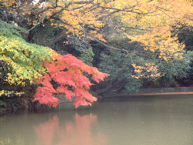 散在ケ池森森林公園