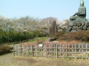 ④源氏山の頼朝像とサクラ