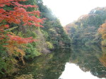 ①散在ケ池森公園の紅葉