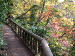 ②散在ケ池公園のせせらぎの小径の紅葉