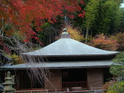 ②東慶寺の紅葉1